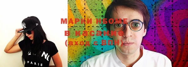 индика Богородицк