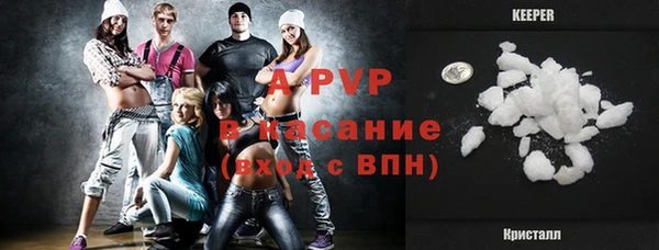 бошки Белокуриха
