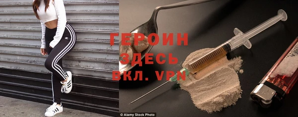 индика Богородицк