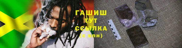 индика Богородицк