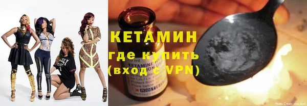 индика Богородицк