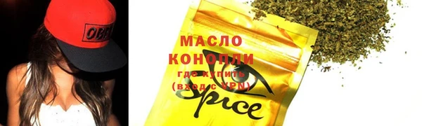 индика Богородицк