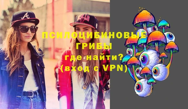 mdpv Беломорск