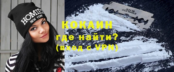 индика Богородицк