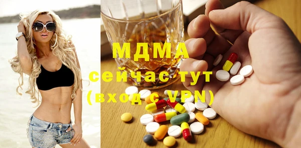 индика Богородицк