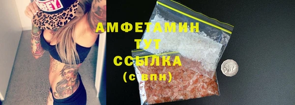 индика Богородицк